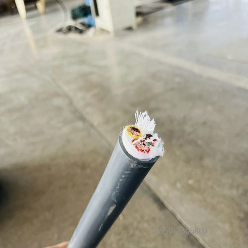 特种电缆.328.jpg