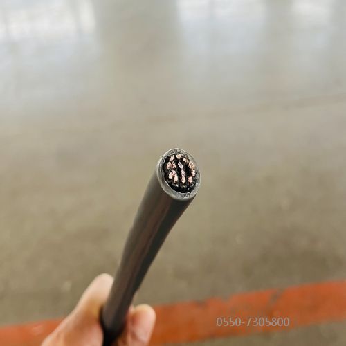 特种电缆.317.jpg