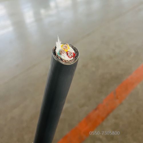 特种电缆.313.jpg