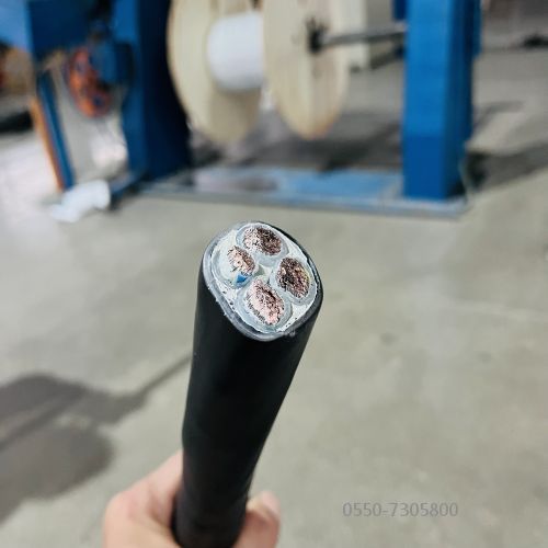 特种电缆.299.jpg