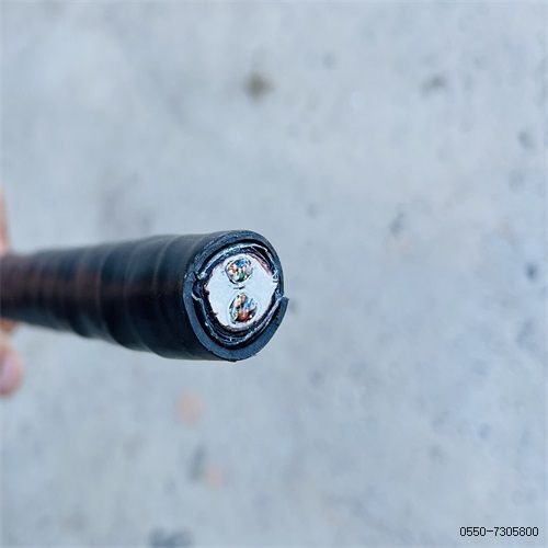 特种电缆厂家206.jpg