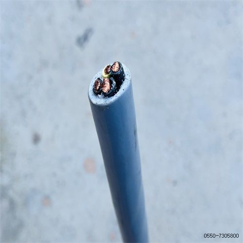 特种电缆厂家237.jpg
