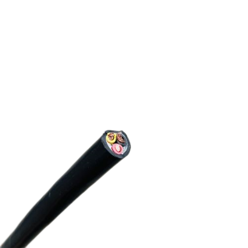 IMG_0579 (2).png