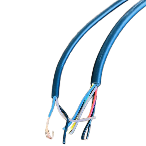 IMG_5397(1).png