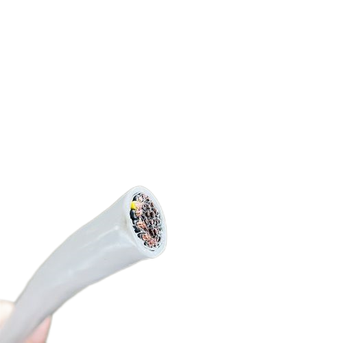 IMG_1630.png