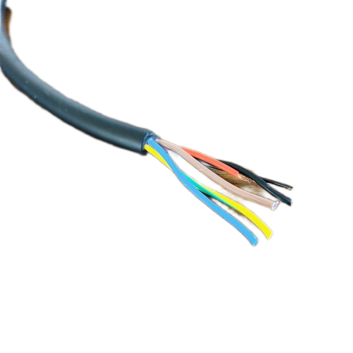 IMG_5391(1).png