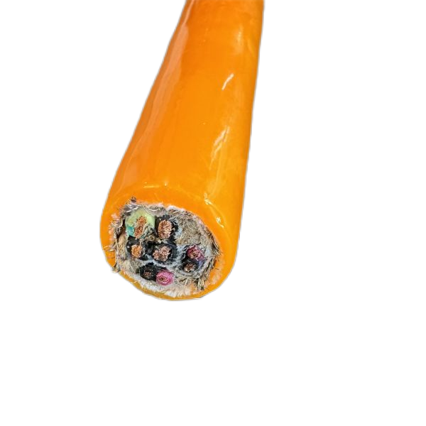 IMG_1255.png
