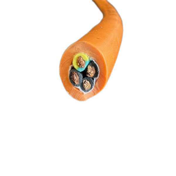 IMG_1269.png