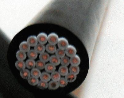新澳门免费公开资料大全网站