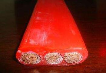新澳门免费公开资料大全网站