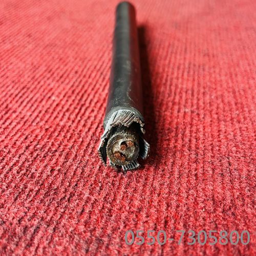 新澳门免费公开资料大全网站