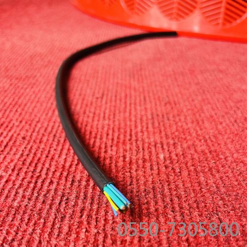 新澳门免费公开资料大全网站
