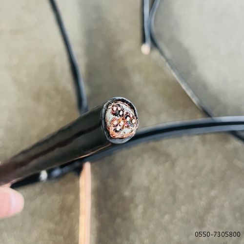 新澳门免费公开资料大全网站