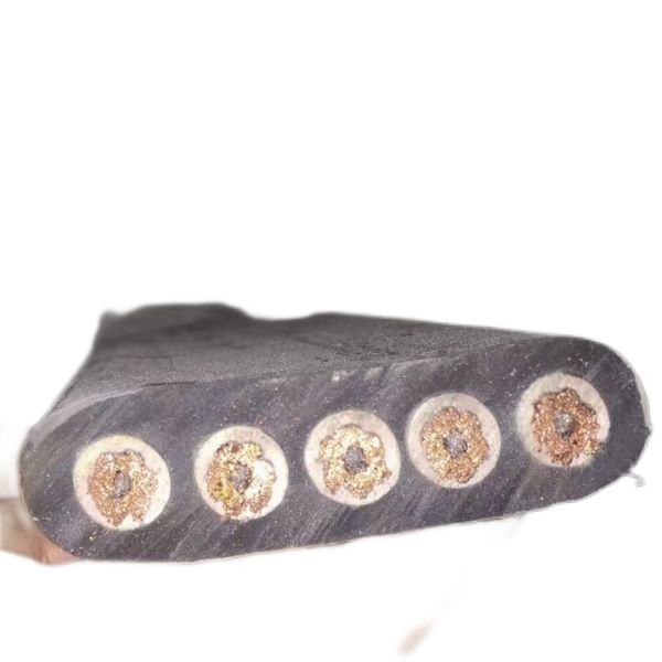 新澳门免费公开资料大全网站