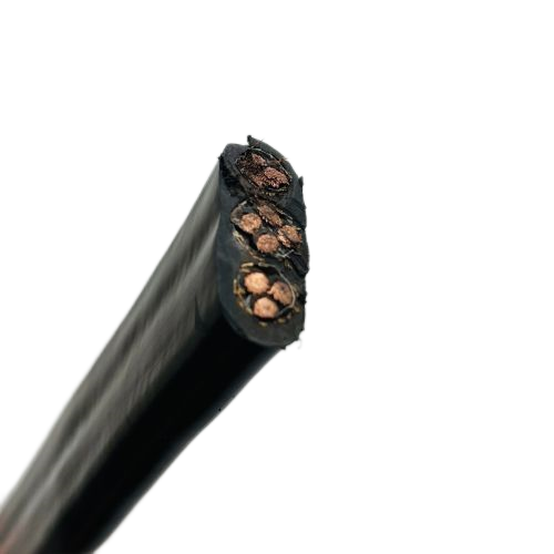 新澳门免费公开资料大全网站