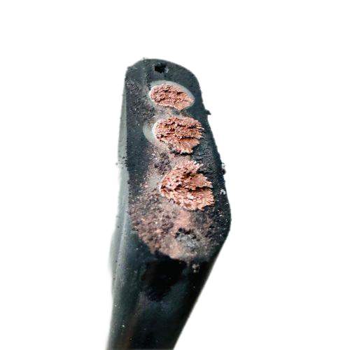新澳门免费公开资料大全网站
