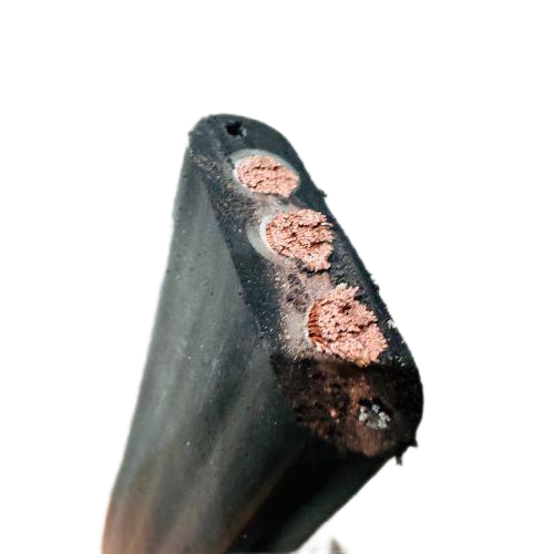 新澳门免费公开资料大全网站