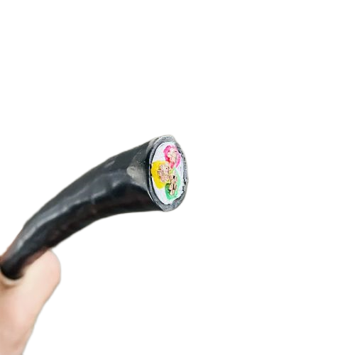 新澳门免费公开资料大全网站