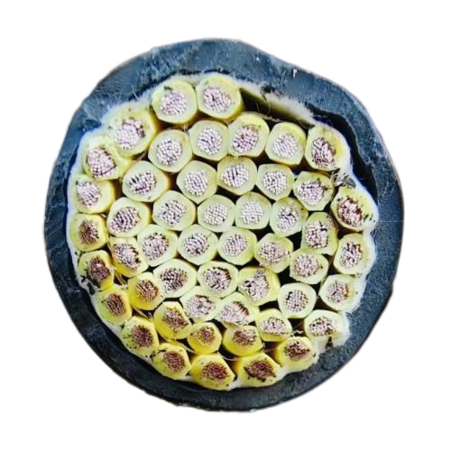 新澳门免费公开资料大全网站