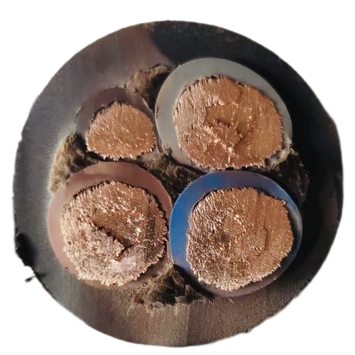 新澳门免费公开资料大全网站