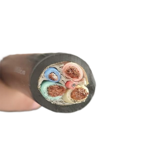 新澳门免费公开资料大全网站