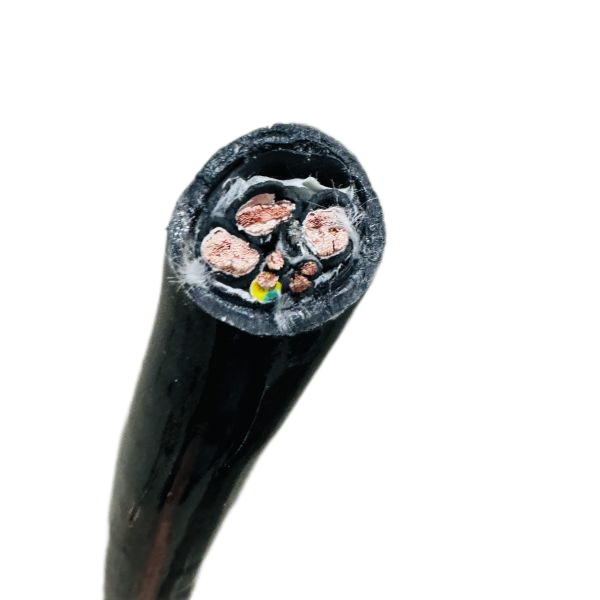 新澳门免费公开资料大全网站