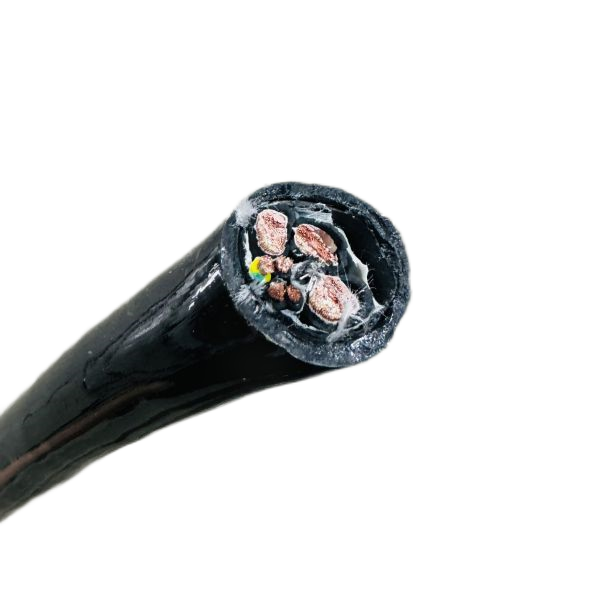 新澳门免费公开资料大全网站
