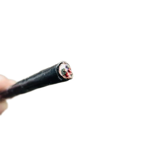 新澳门免费公开资料大全网站