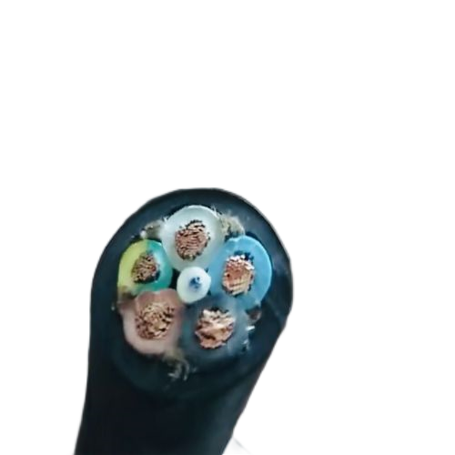 新澳门免费公开资料大全网站