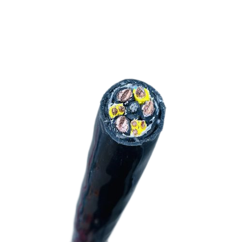 新澳门免费公开资料大全网站