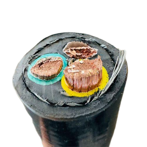 新澳门免费公开资料大全网站