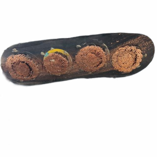 新澳门免费公开资料大全网站