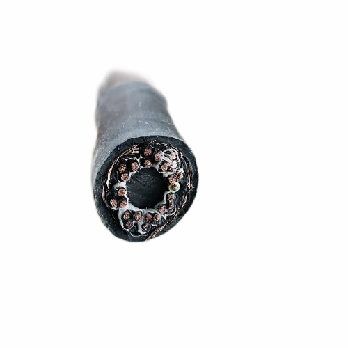 新澳门免费公开资料大全网站