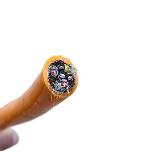 新澳门免费公开资料大全网站