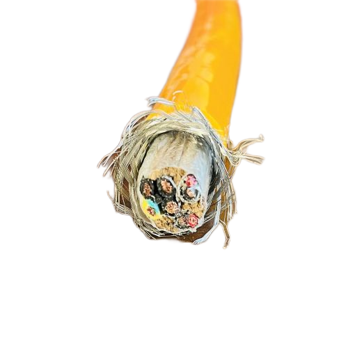新澳门免费公开资料大全网站
