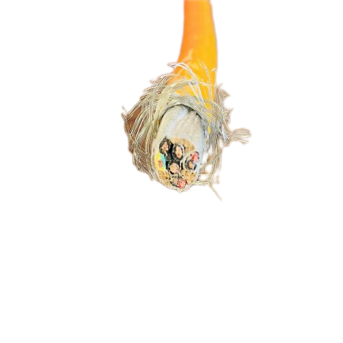 新澳门免费公开资料大全网站