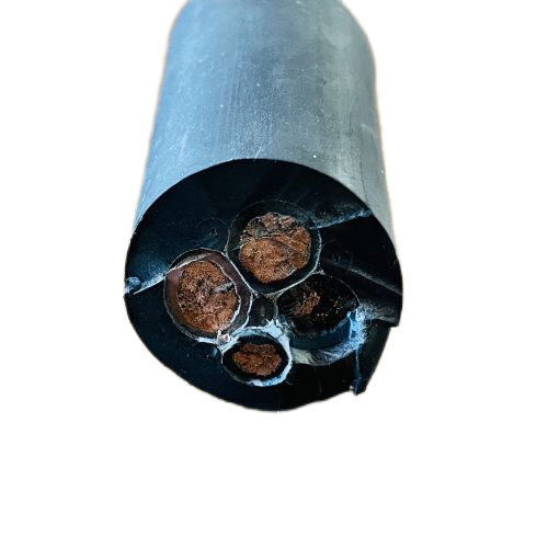 新澳门免费公开资料大全网站