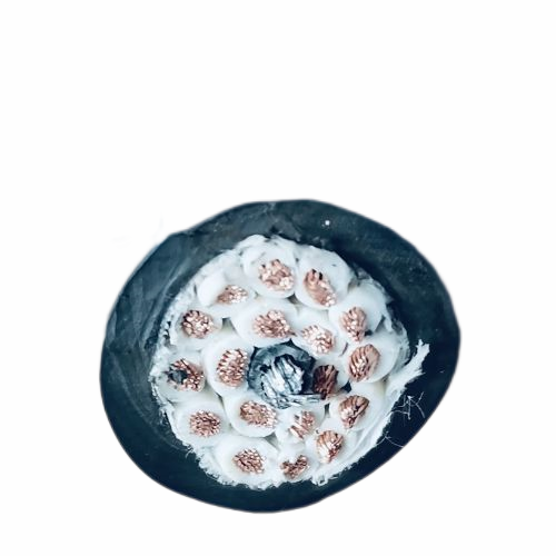 新澳门免费公开资料大全网站