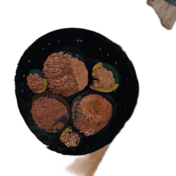 新澳门免费公开资料大全网站