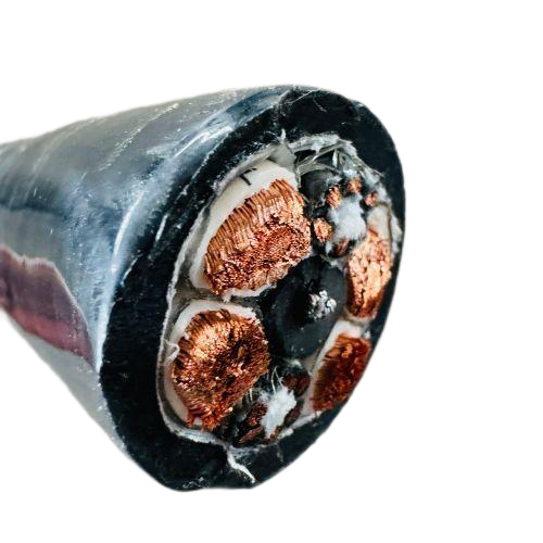 新澳门免费公开资料大全网站