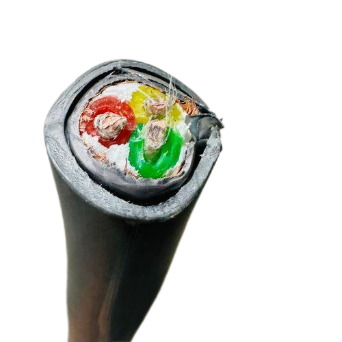 新澳门免费公开资料大全网站