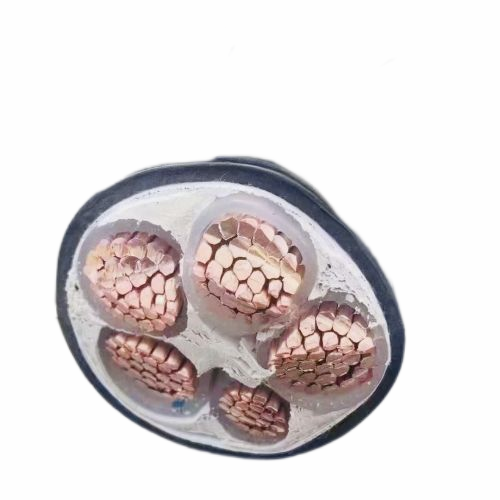新澳门免费公开资料大全网站