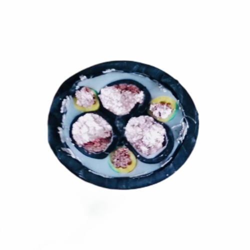 新澳门免费公开资料大全网站